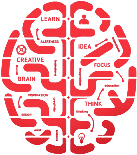 Brain Image